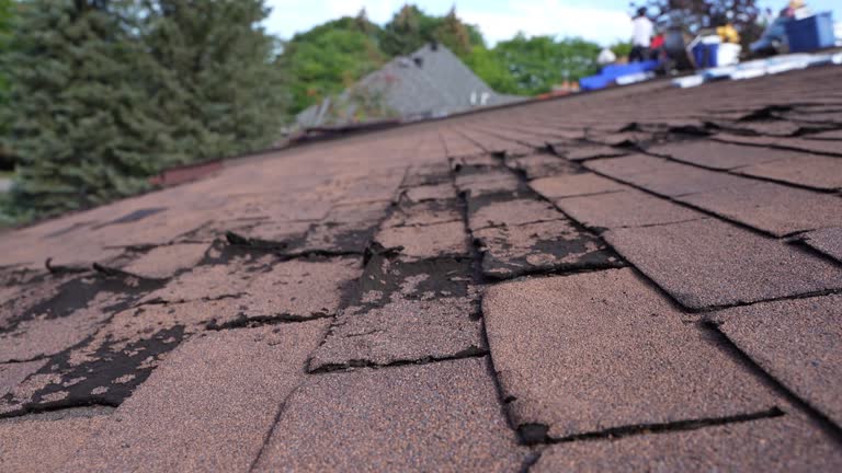 Fast & Reliable Emergency Roof Repairs in North Beach Haven, NJ